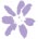 small ask sara flower